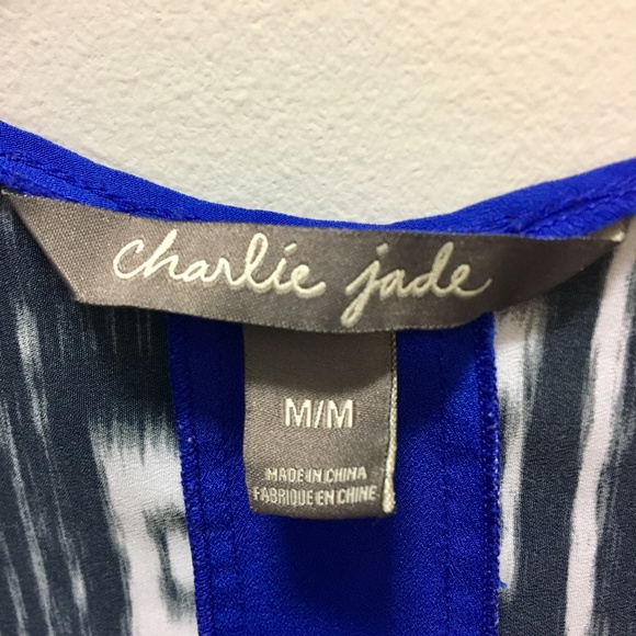 Boho *ANTHROPOLOGY*  CHARLIE JADE TANK TOP - Picture 5 of 6